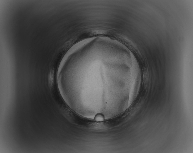 X0000100950406200807151341