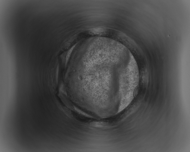 X0000100950408200807151341