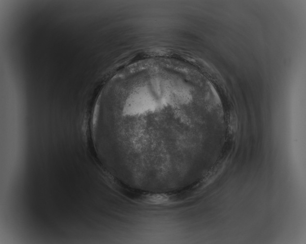 X0000100950409200807151341