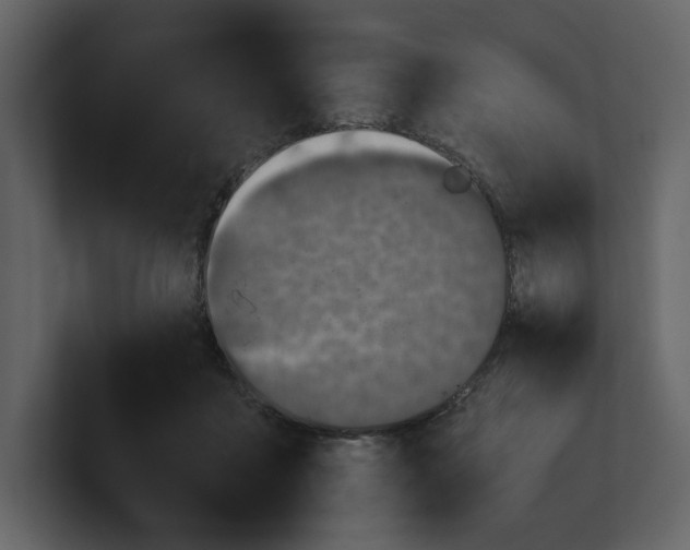 X0000100950411200807151341