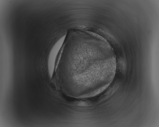 X0000100950412200807151341