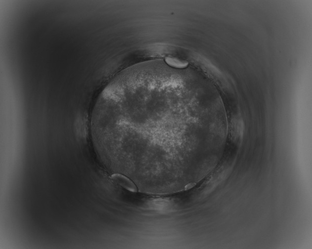 X0000100950413200807151341