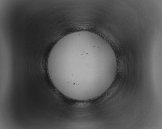 X0000100950414200807151341