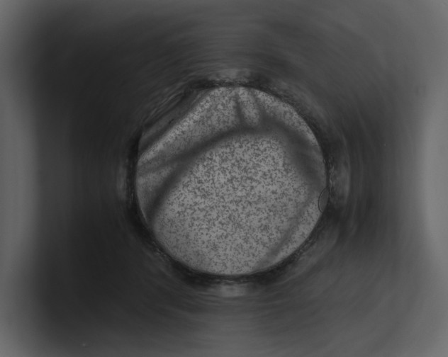 X0000100950416200807151341