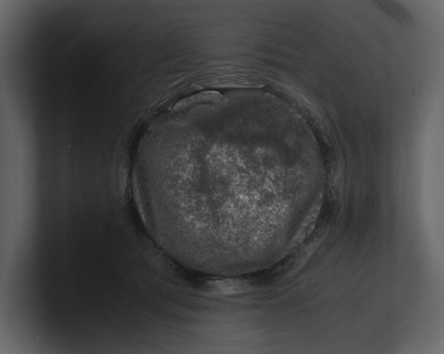 X0000100950417200807151341