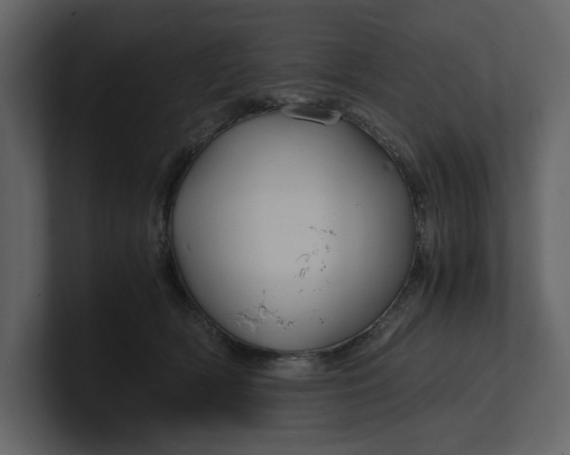 X0000100950418200807151341