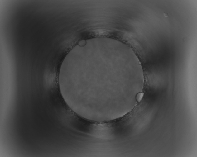 X0000100950419200807151341