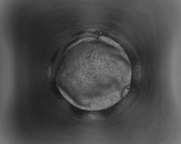 X0000100950420200807151341