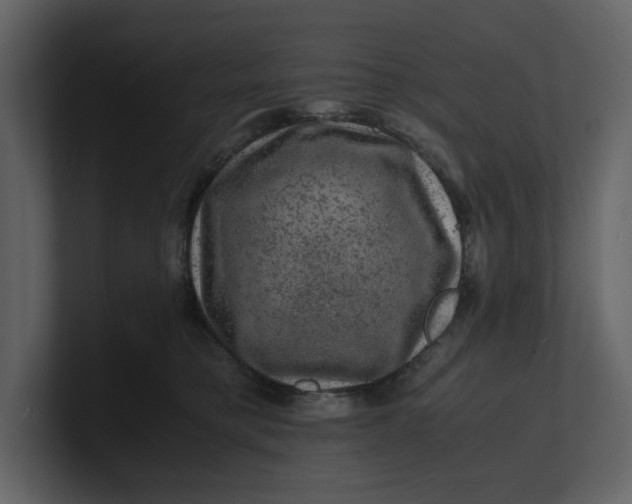 X0000100950421200807151341