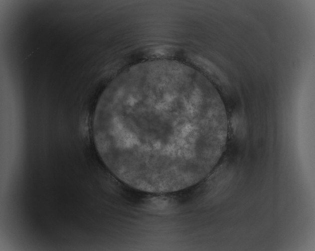 X0000100950423200807151341