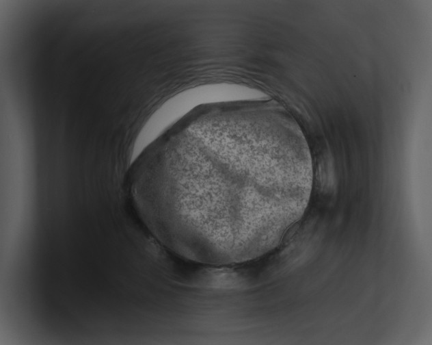 X0000100950424200807151341