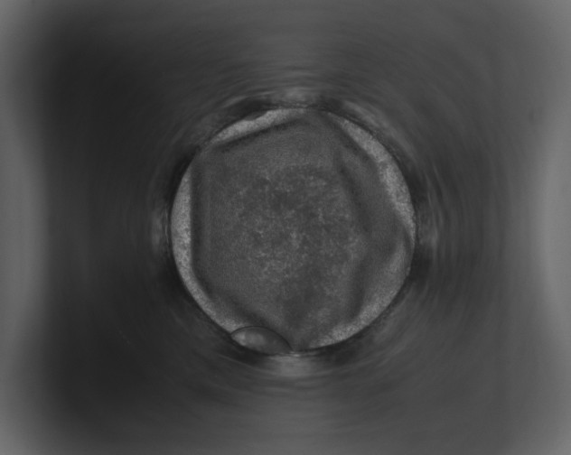 X0000100950425200807151341