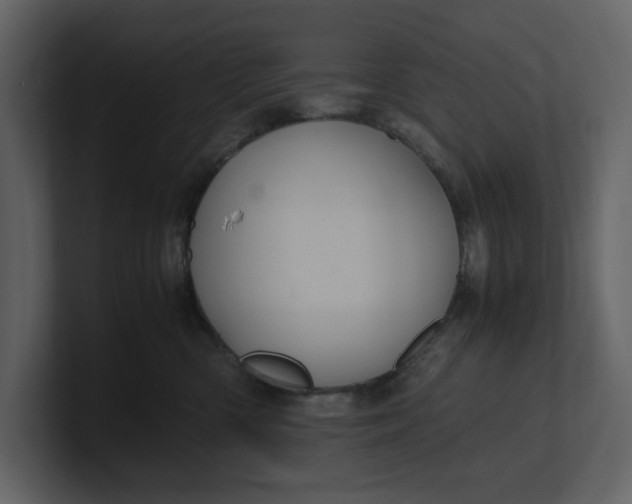 X0000100950426200807151341