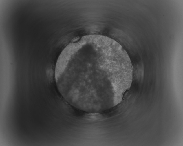 X0000100950427200807151341