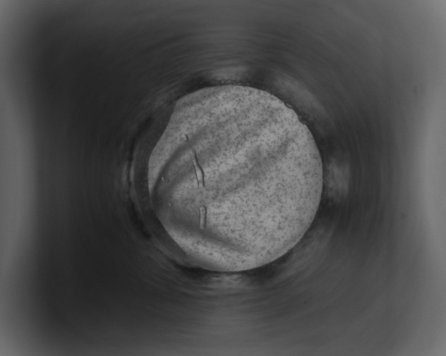 X0000100950428200807151341