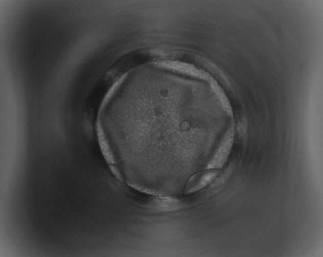 X0000100950429200807151341