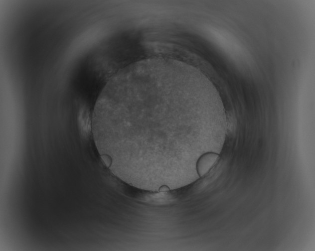 X0000100950431200807151341