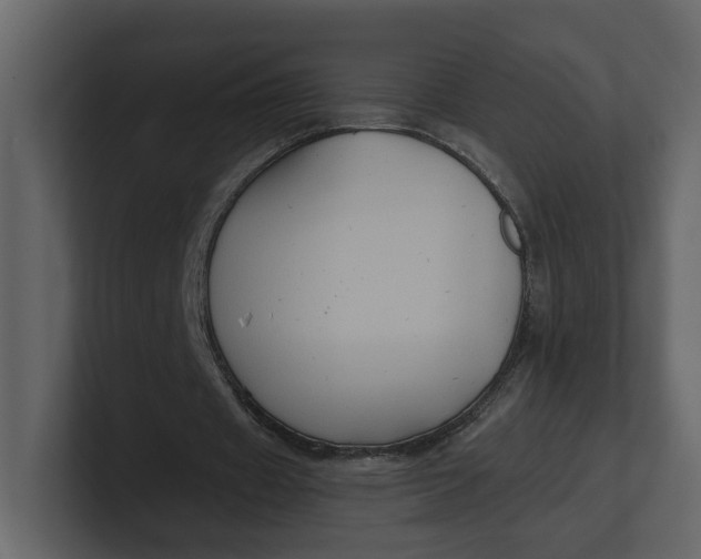 X0000100950433200807151340