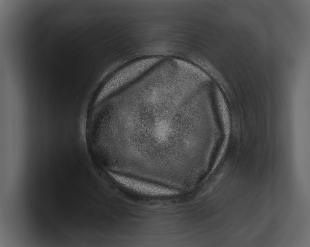 X0000100950434200807151340