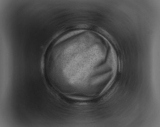 X0000100950435200807151340