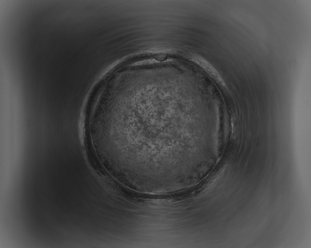 X0000100950436200807151340