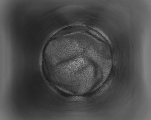 X0000100950437200807151340