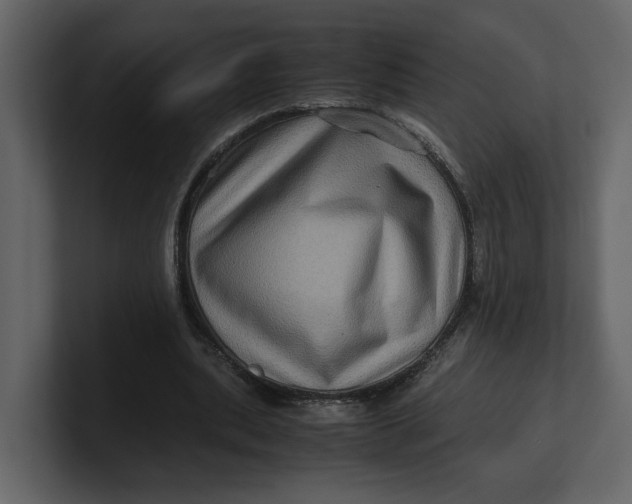 X0000100950439200807151340