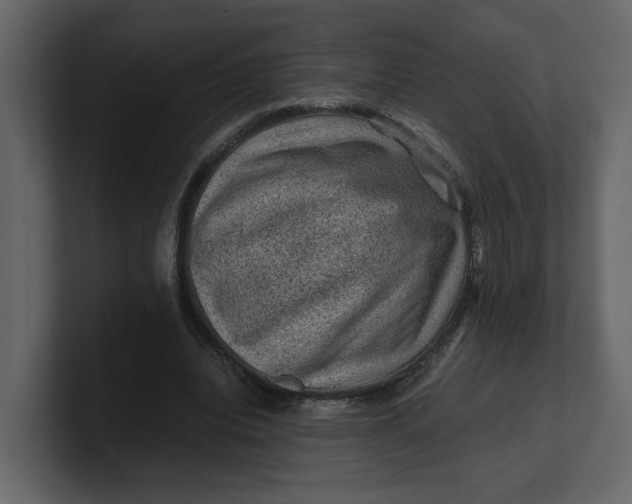 X0000100950440200807151340