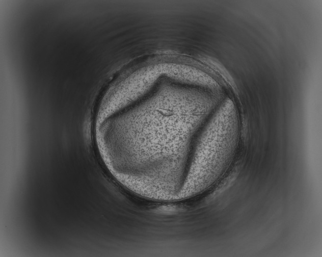 X0000100950441200807151340