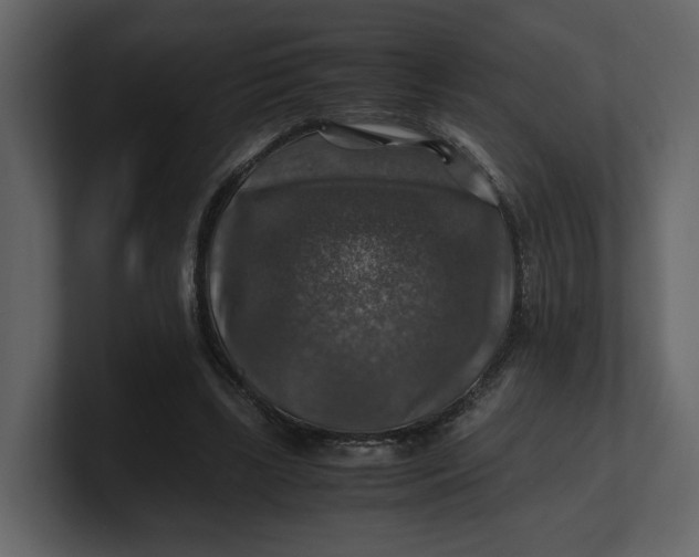 X0000100950443200807151340