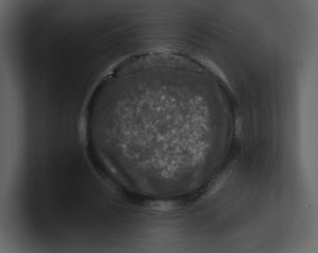 X0000100950444200807151340