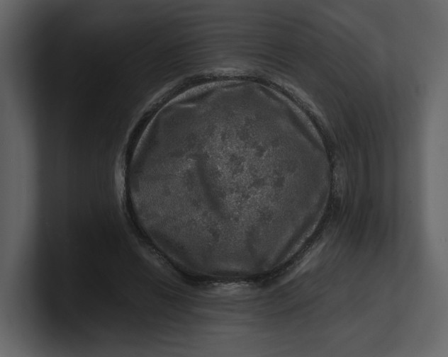 X0000100950446200807151340