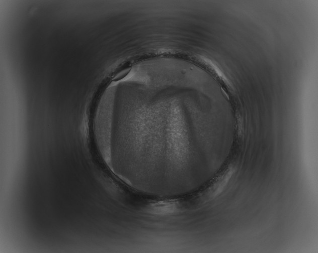 X0000100950447200807151340