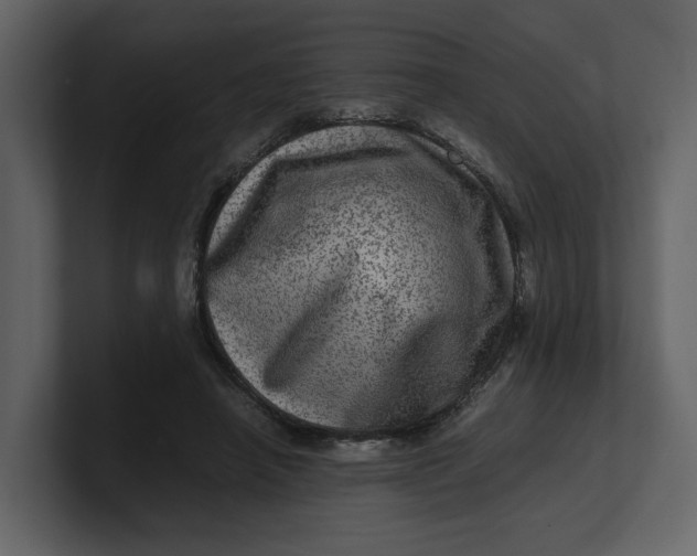 X0000100950450200807151340