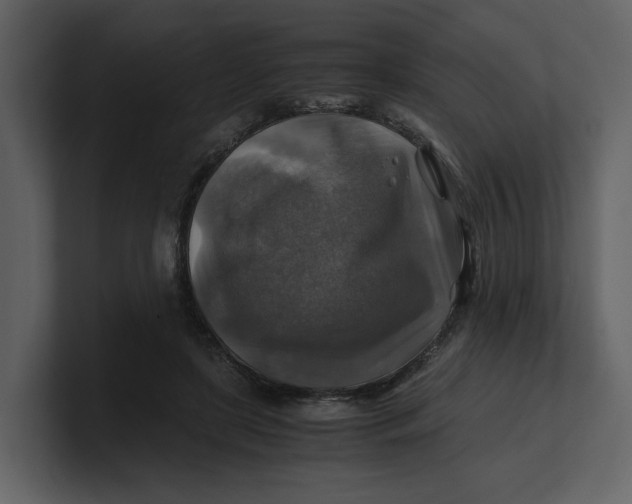 X0000100950451200807151340