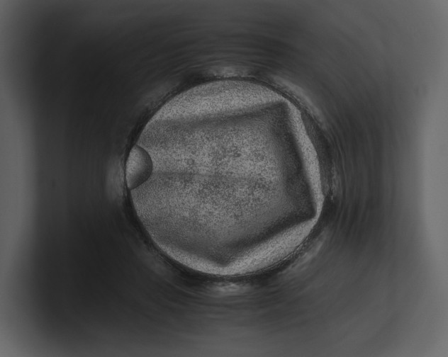 X0000100950453200807151340