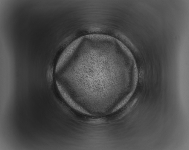 X0000100950454200807151340