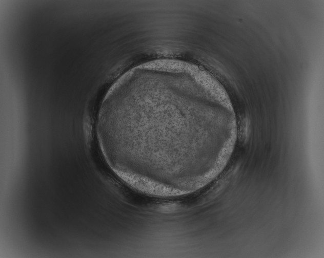 X0000100950456200807151340