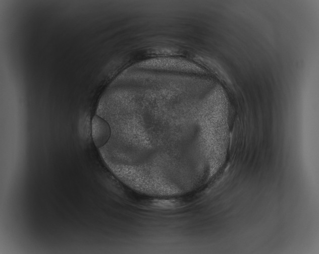 X0000100950457200807151340