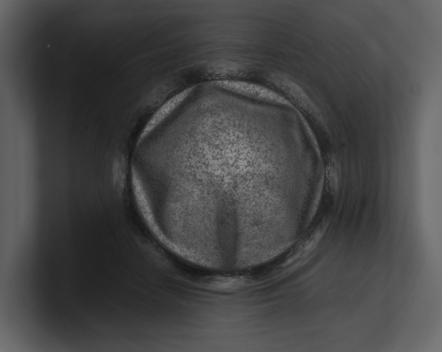 X0000100950458200807151340