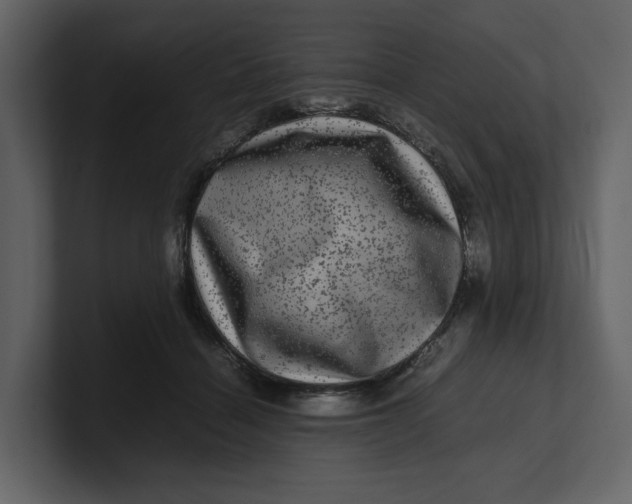 X0000100950460200807151340