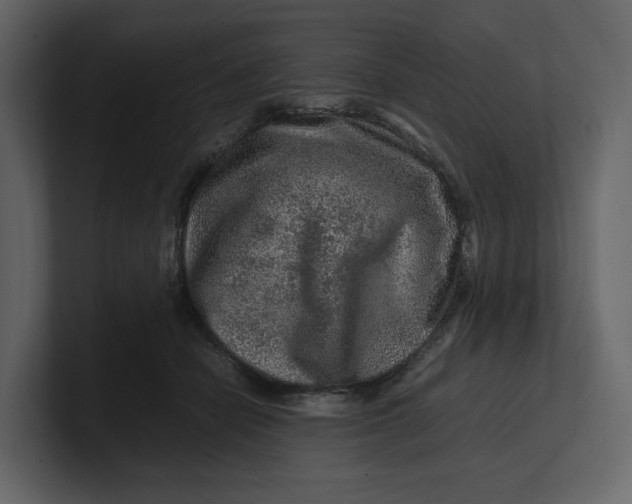 X0000100950462200807151340