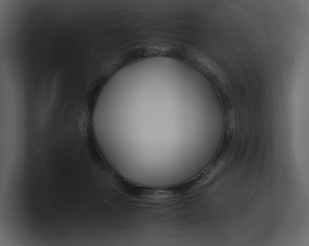 X0000100950463200807151340