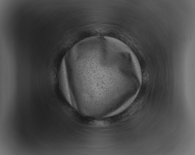 X0000100950464200807151340