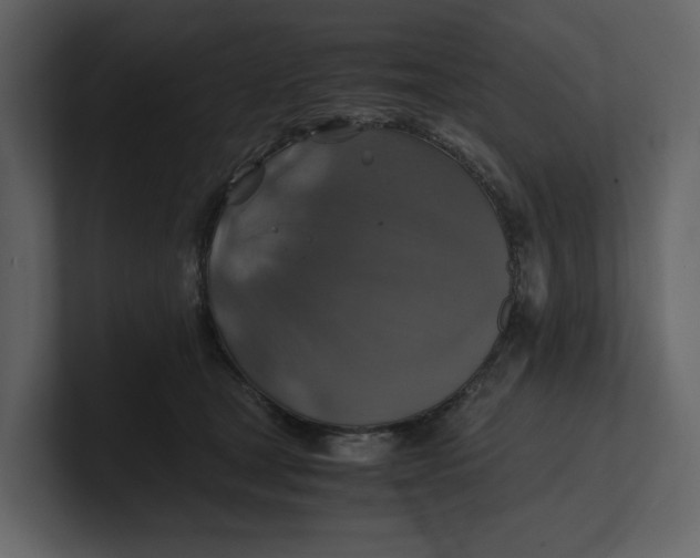 X0000100950465200807151340