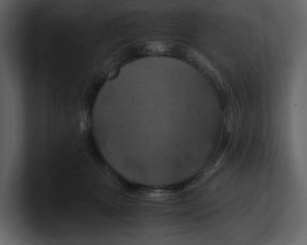 X0000100950467200807151340