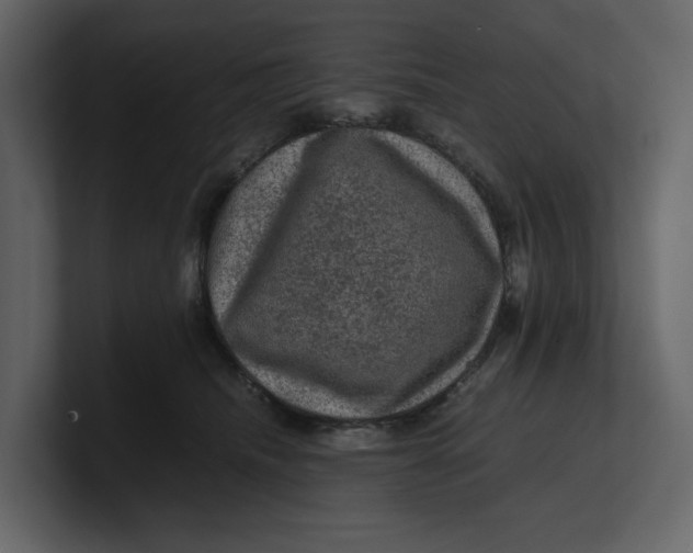 X0000100950468200807151340