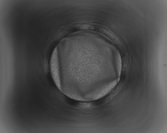 X0000100950469200807151340