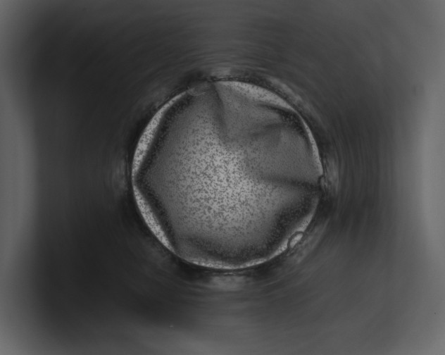 X0000100950470200807151340