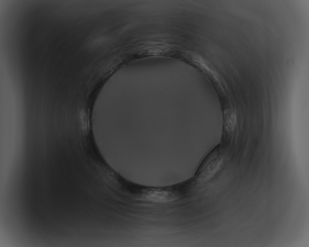 X0000100950471200807151340